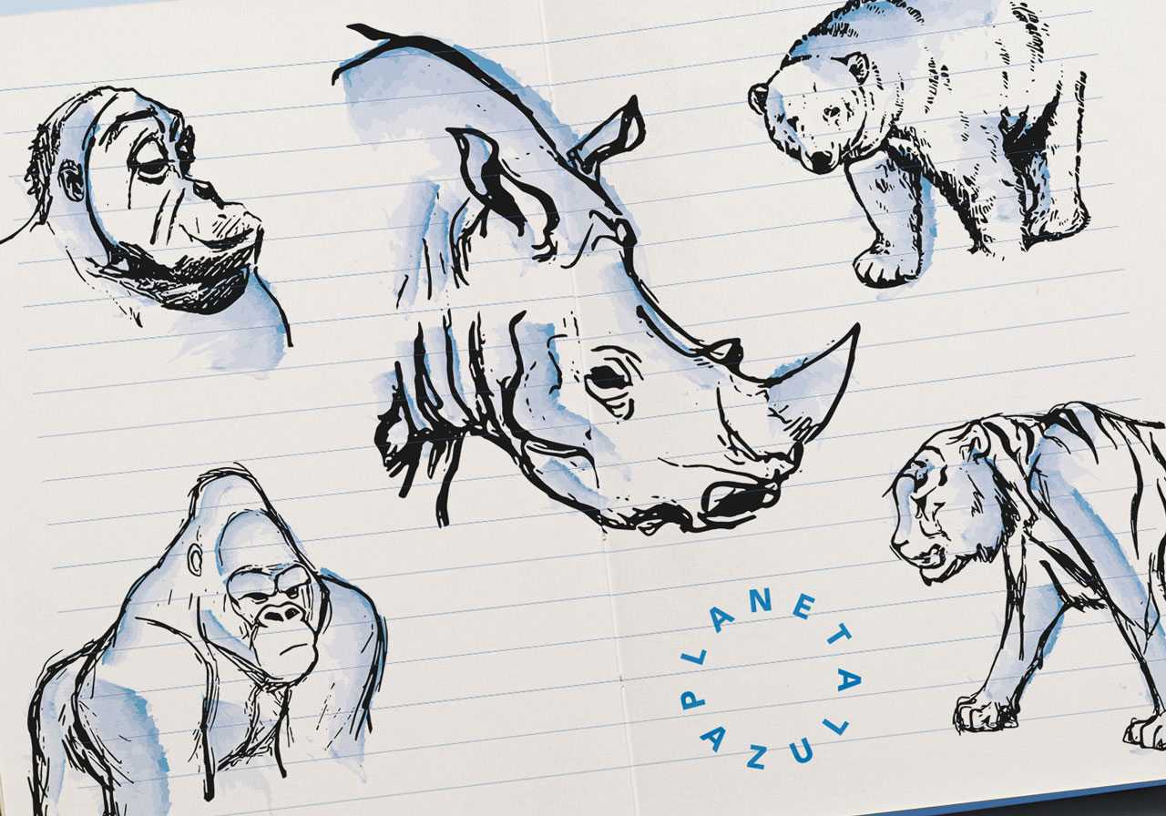 VIAJES PLANETA AZUL / Branding