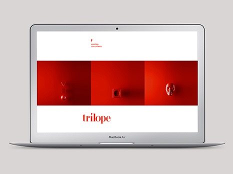 TRÍLOPE / DISEÑO WEB