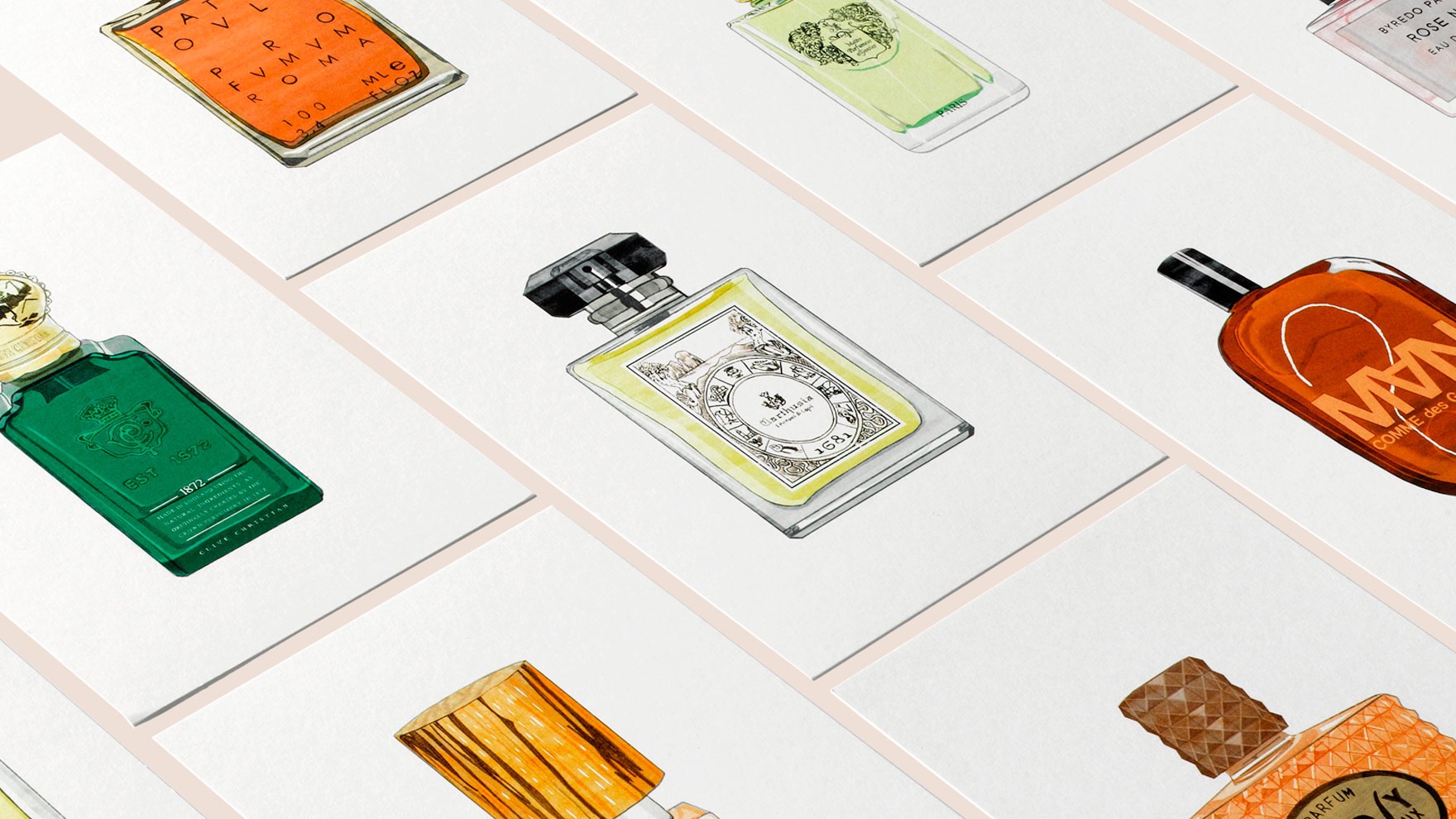Ilustraci&oacute;n de diferentes fragancias de la tienda SANTA EULALIA. Ilustrado por esiete estudio de branding y comunicaci&oacute;n.