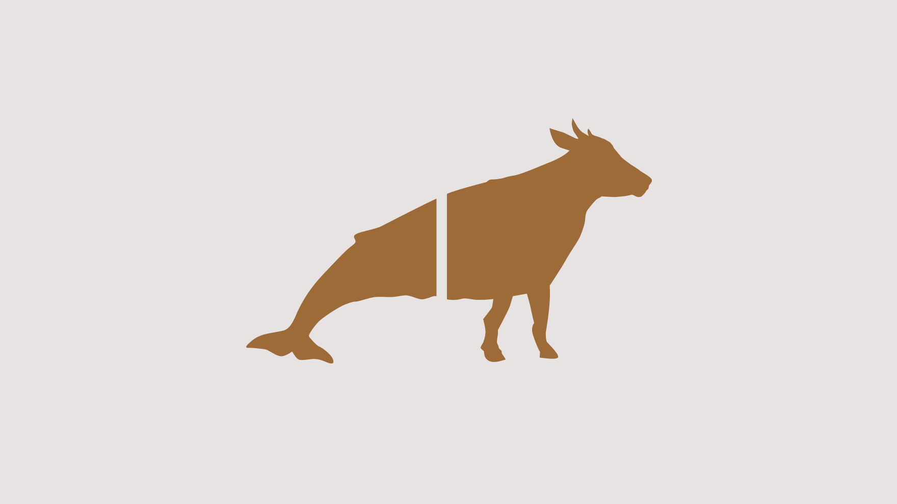 JAUJA / IDENTITAT CORPORATIVA / BRANDING