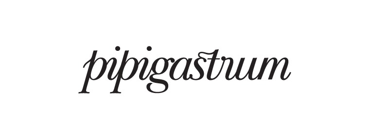 PIPIGASTRUM / IDENTITAT CORPORATIVA / BRANDING