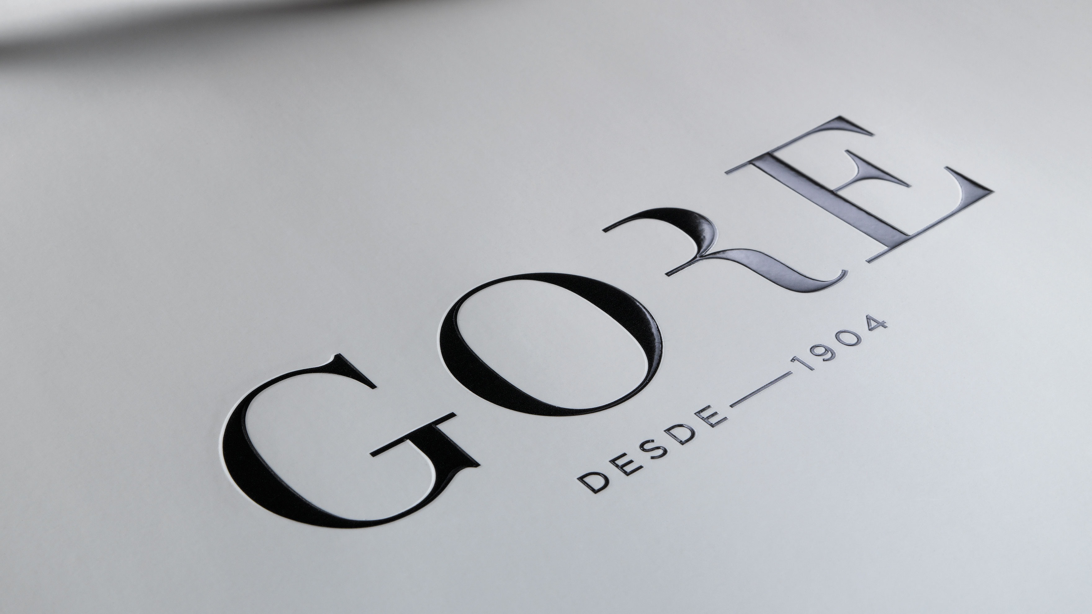 GORE / IDENTITAT CORPORATIVA / BRANDING