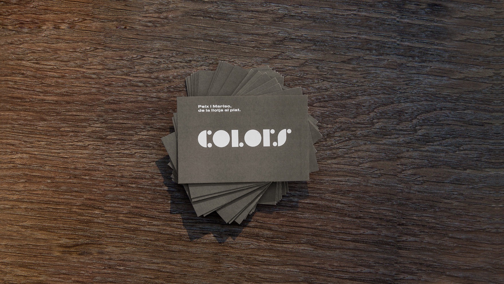 COLORS / IDENTIDAD CORPORATIVA / BRANDING