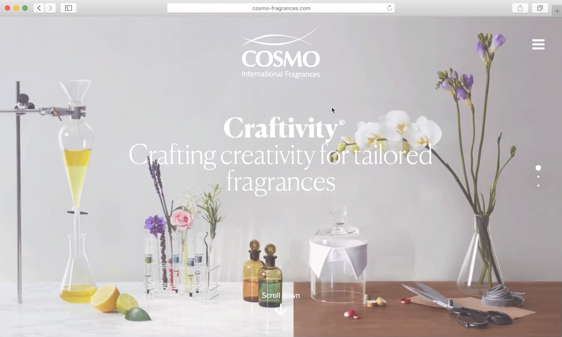 COSMO FRAGANCES / DISEÑO WEB