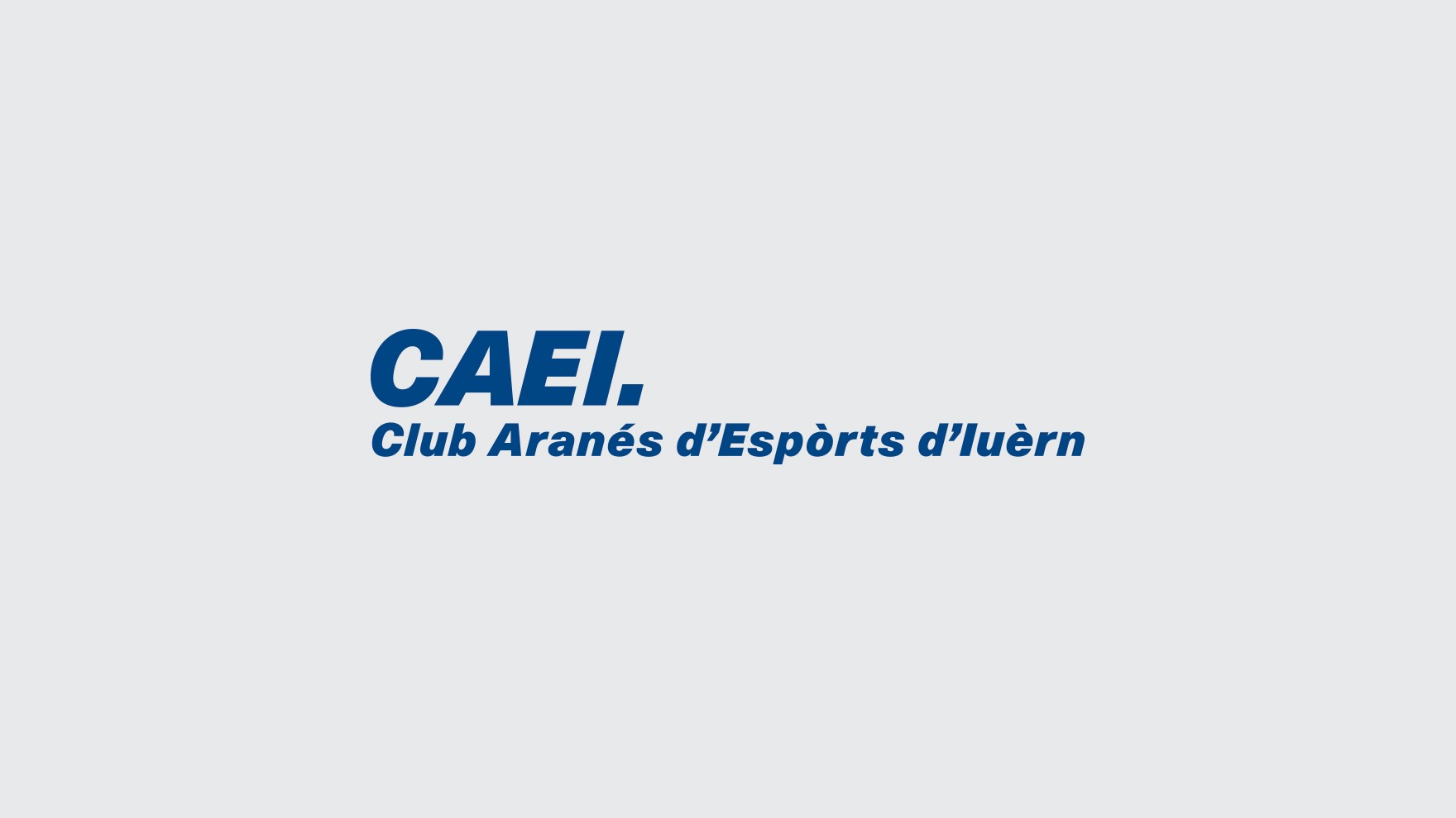 CAEI / IDENTIDAD CORPORATIVA / BRANDING