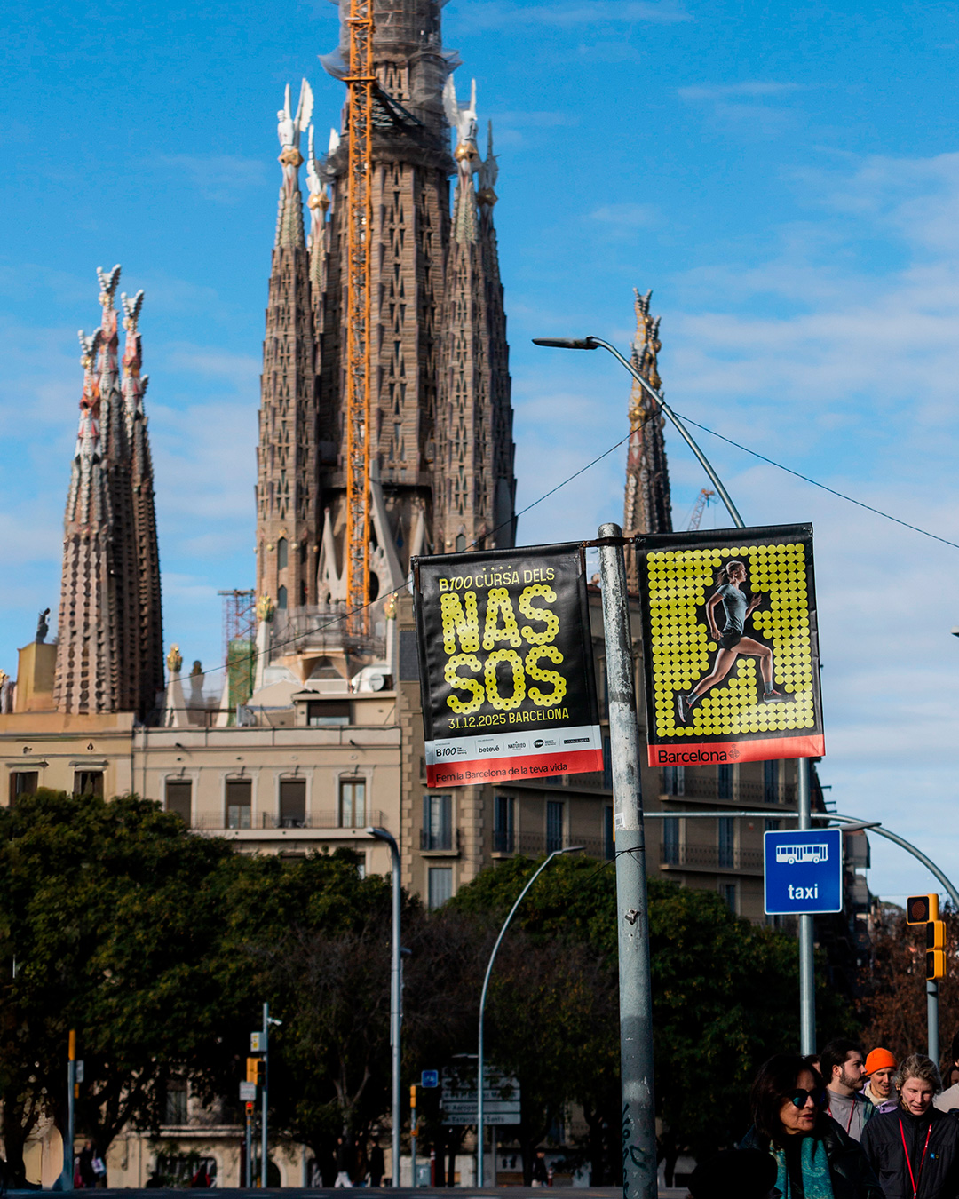 CURSA DELS NASSOS 2022 / DISSENY GR&Agrave;FIC