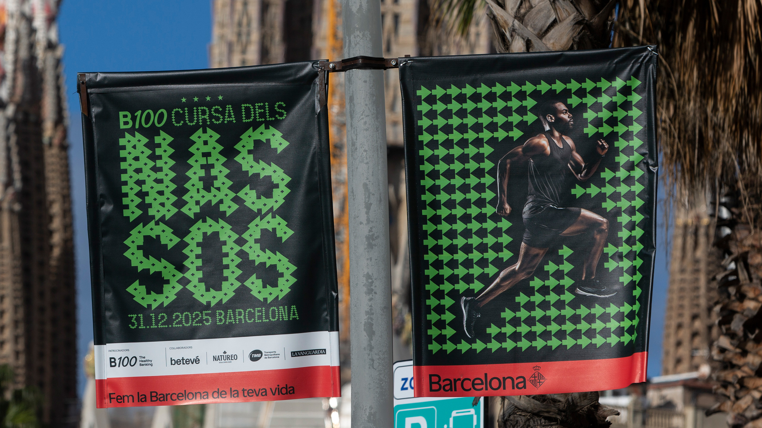 CURSA DELS NASSOS 2022 / DISSENY GR&Agrave;FIC