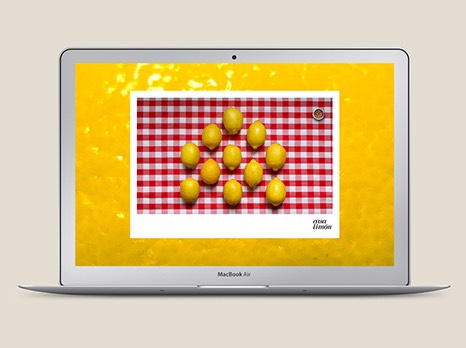 CASA LIMÓN / DISEÑO WEB