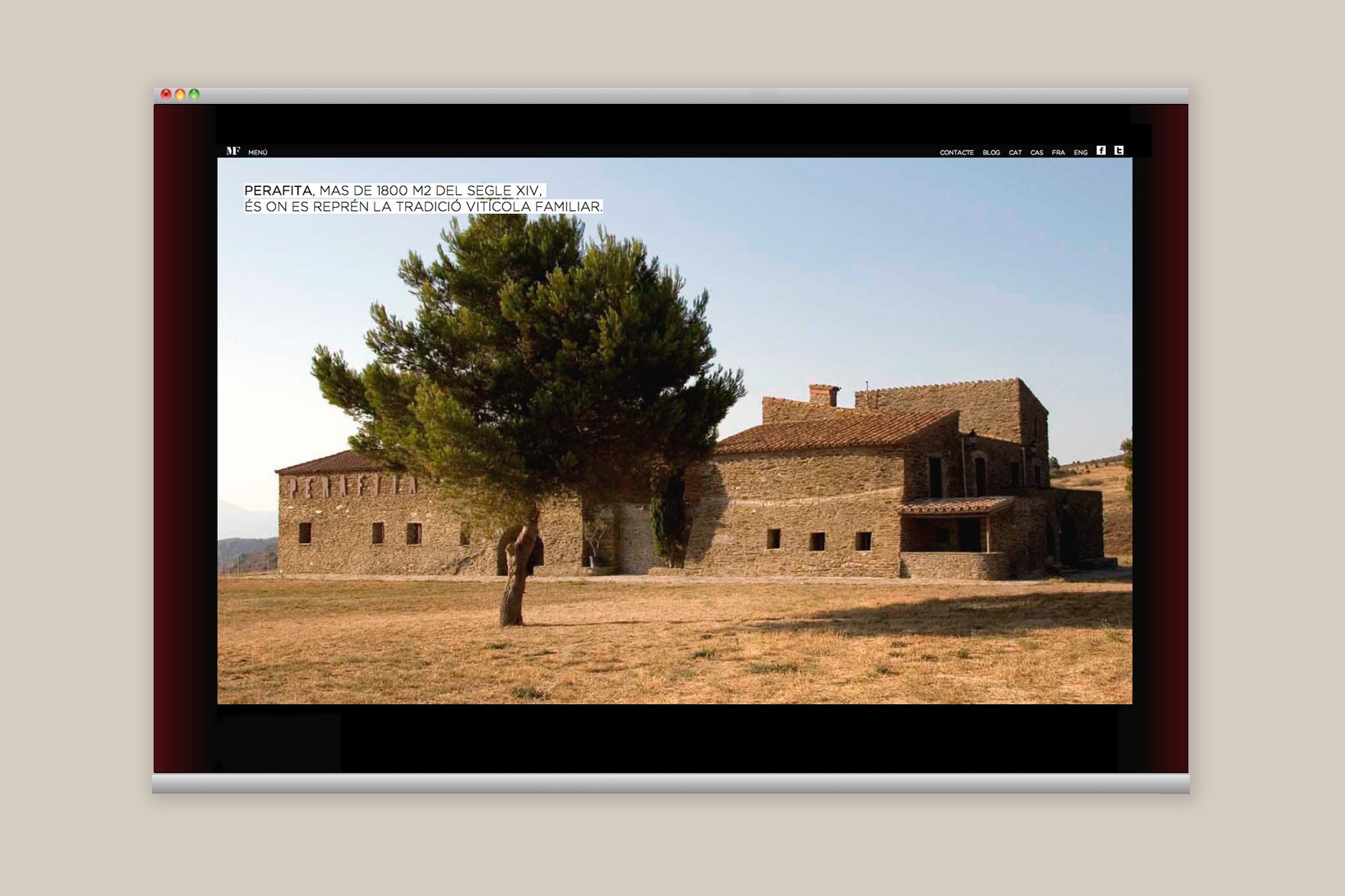 Secci&oacute; on es parla de PERAFITA a la web del CELLER MART&Iacute;N FAIX&Oacute;. Inclou un arbre al costat d'una antiga masia. Web dissenyada per l'estudi de marca i comunicaci&oacute; esiete i programada per sevenap.