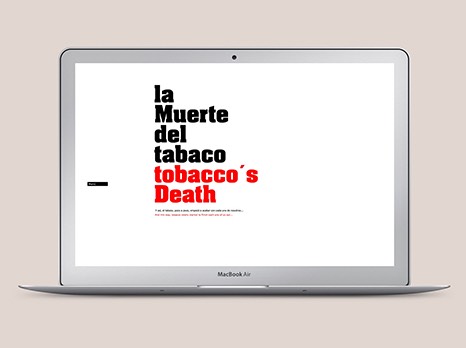 CHICHI AND CÖ / DISEÑO WEB
