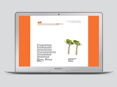 DDI / DISEÑO WEB