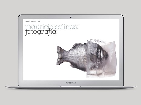 MAURICIO SALINAS / DISEÑO WEB