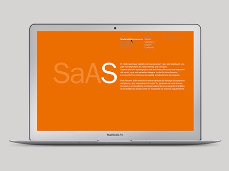 SAAS / DISEÑO WEB
