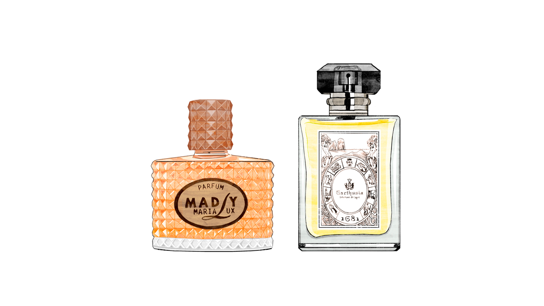 Designer Perfumes | ESIETE